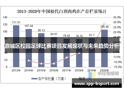 鼎城区校园足球比赛项目发展现状与未来趋势分析